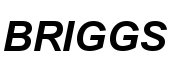 BRIGGS logo